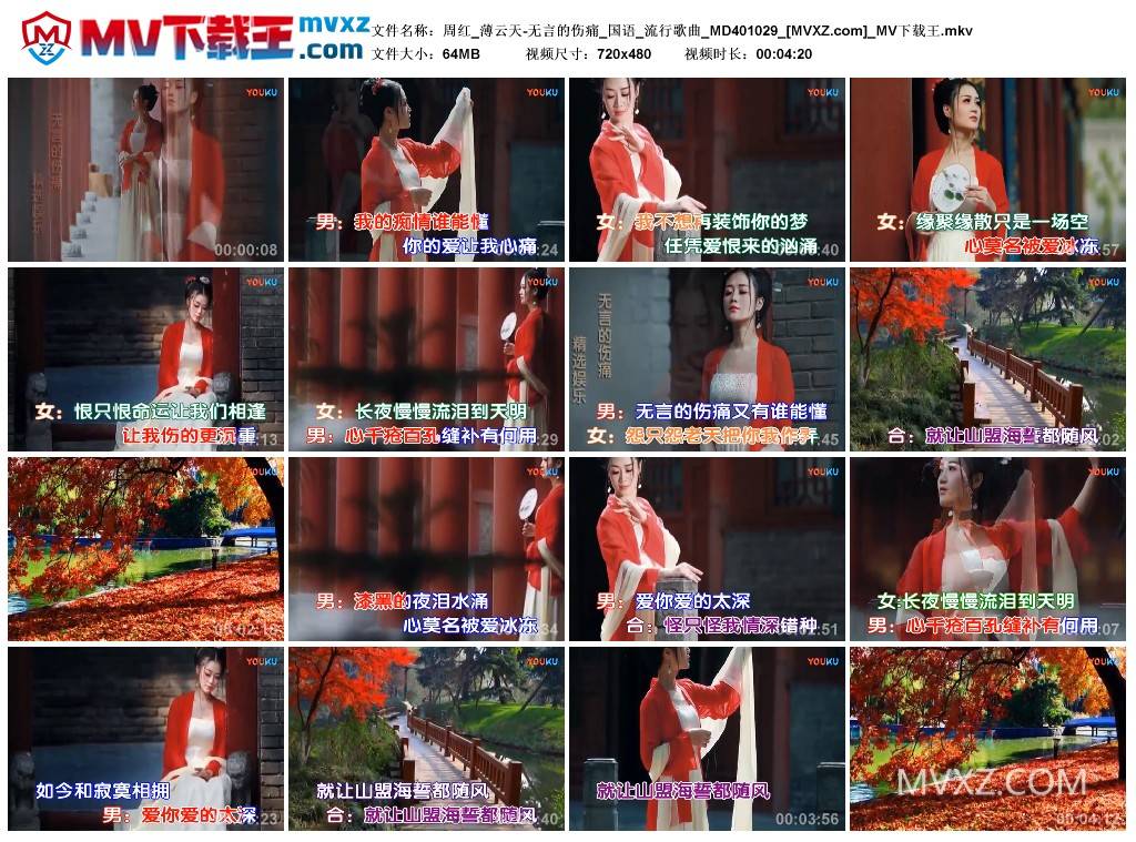 周红_薄云天-无言的伤痛_国语_流行歌曲_MD401029